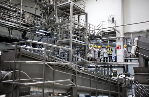 寵物市場“內卷”加劇，這家天津軟件企業亮相亞寵展的破局之道