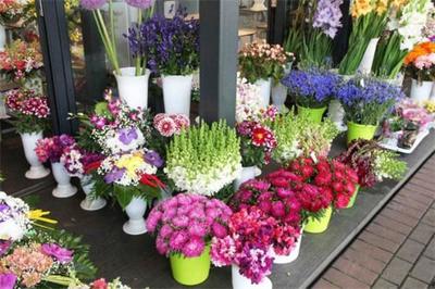 花滿堂花店加盟 把握商機，共創(chuàng)繁花似錦的創(chuàng)業(yè)之路